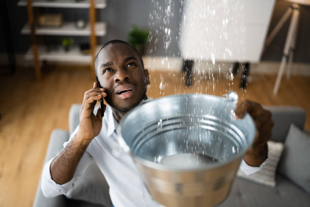 Best Water damage restoration specialists  in Jan Phyl Village, FL