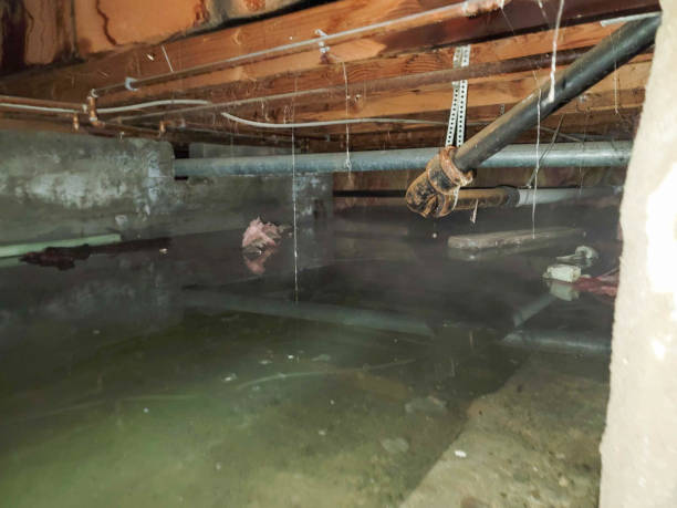 Best Residential water damage restoration  in Jan Phyl Village, FL