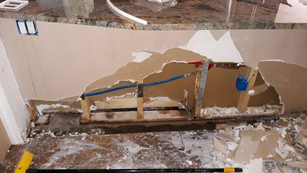 Best Carpet water damage restoration  in Jan Phyl Village, FL