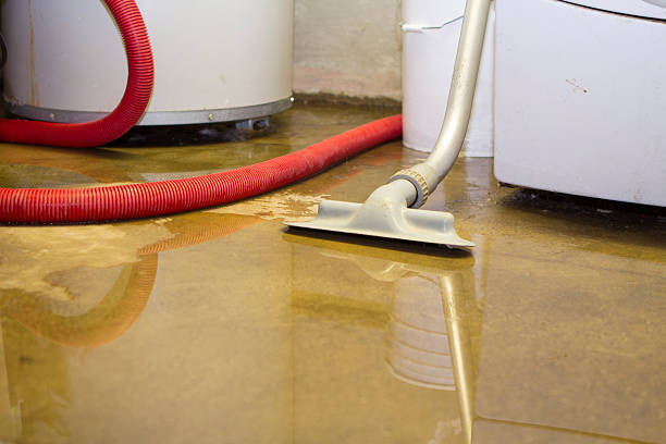 Local water damage restoration in FL