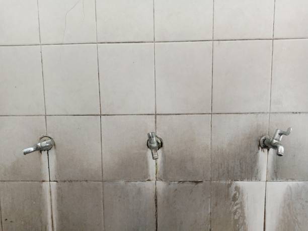 Best Water damage cleanup near me  in Jan Phyl Village, FL