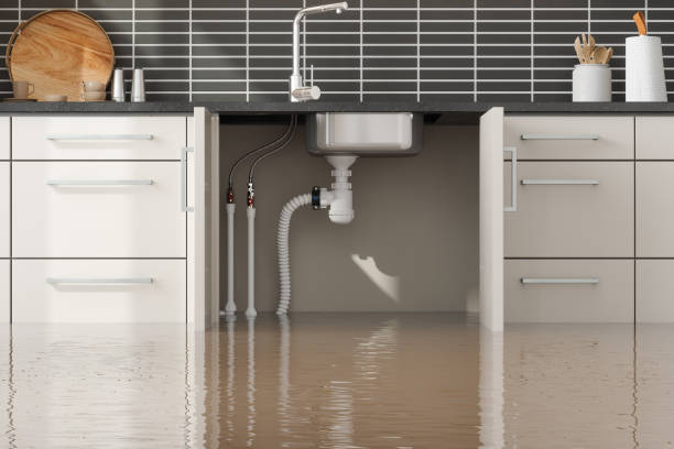 Best Flooded house restoration  in Jan Phyl Village, FL