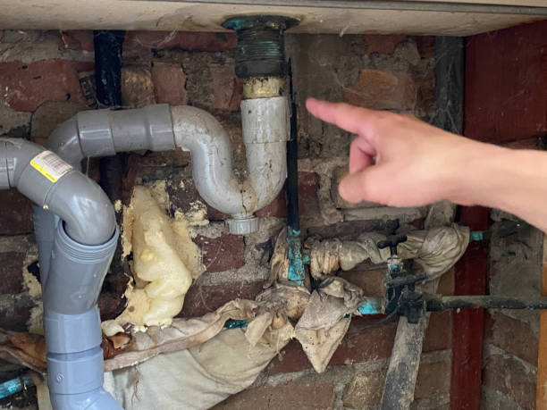 Best 24/7 water damage repair  in Jan Phyl Village, FL